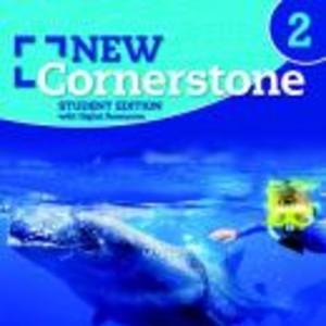NEW CORNERSTONE 2 SB